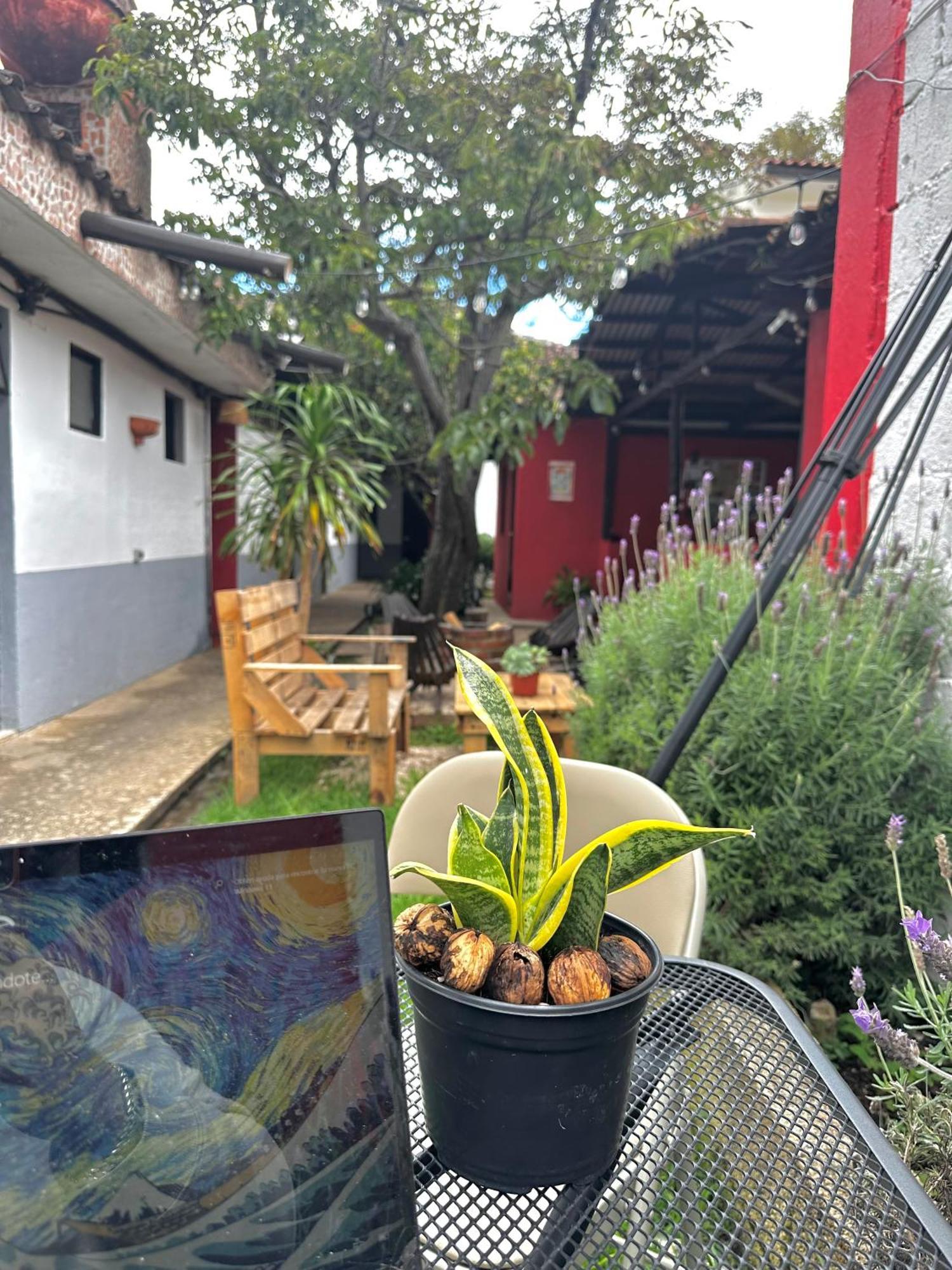 Hotel Berlin61 San Cristóbal de Las Casas Zewnętrze zdjęcie