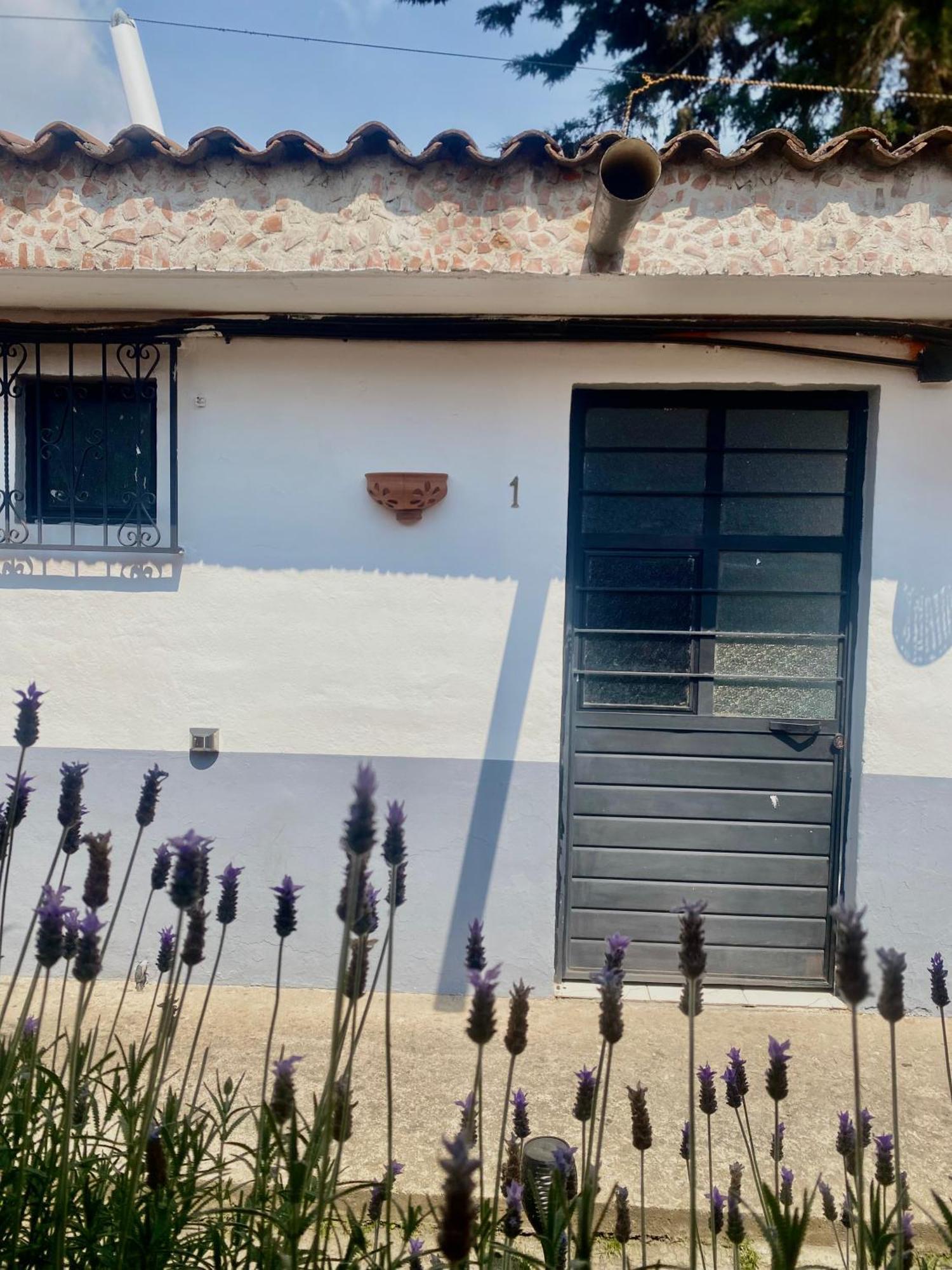 Hotel Berlin61 San Cristóbal de Las Casas Zewnętrze zdjęcie