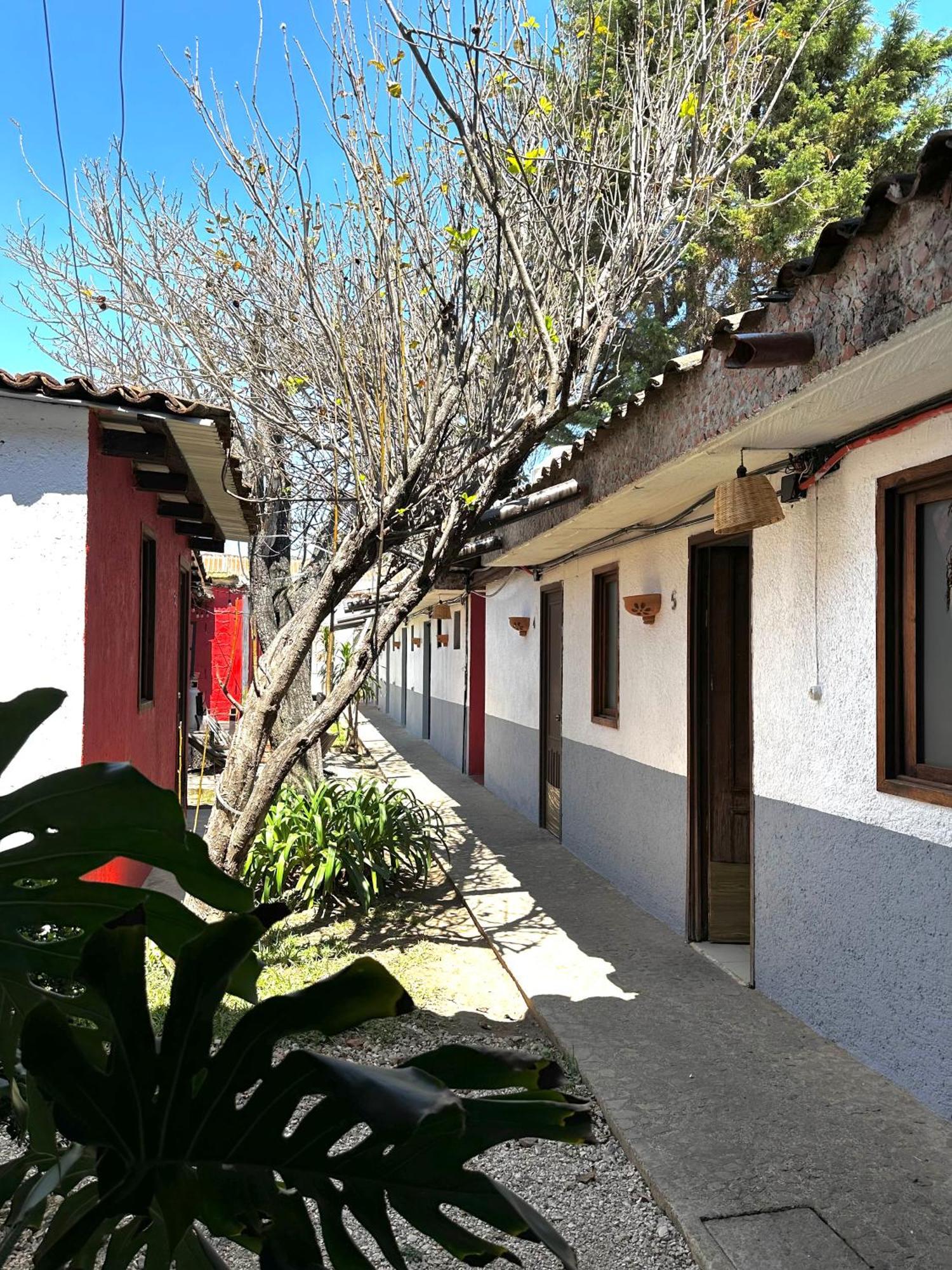 Hotel Berlin61 San Cristóbal de Las Casas Zewnętrze zdjęcie